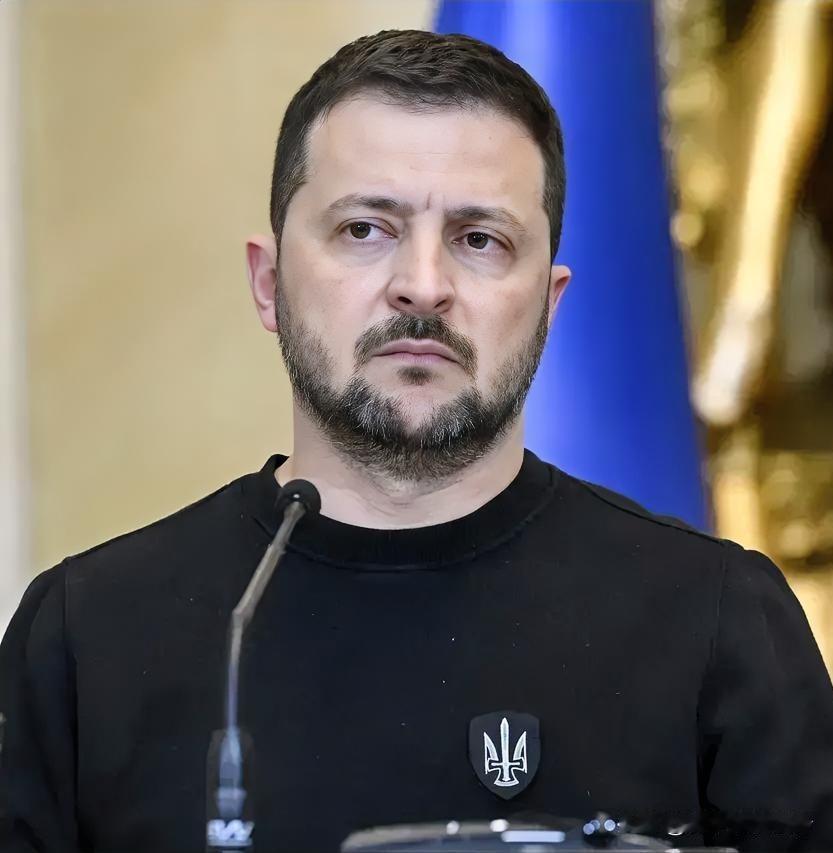 据乌克兰媒体报道，乌克兰总统泽连斯基发表声明称，当前乌克兰国内能源形势非常严峻。