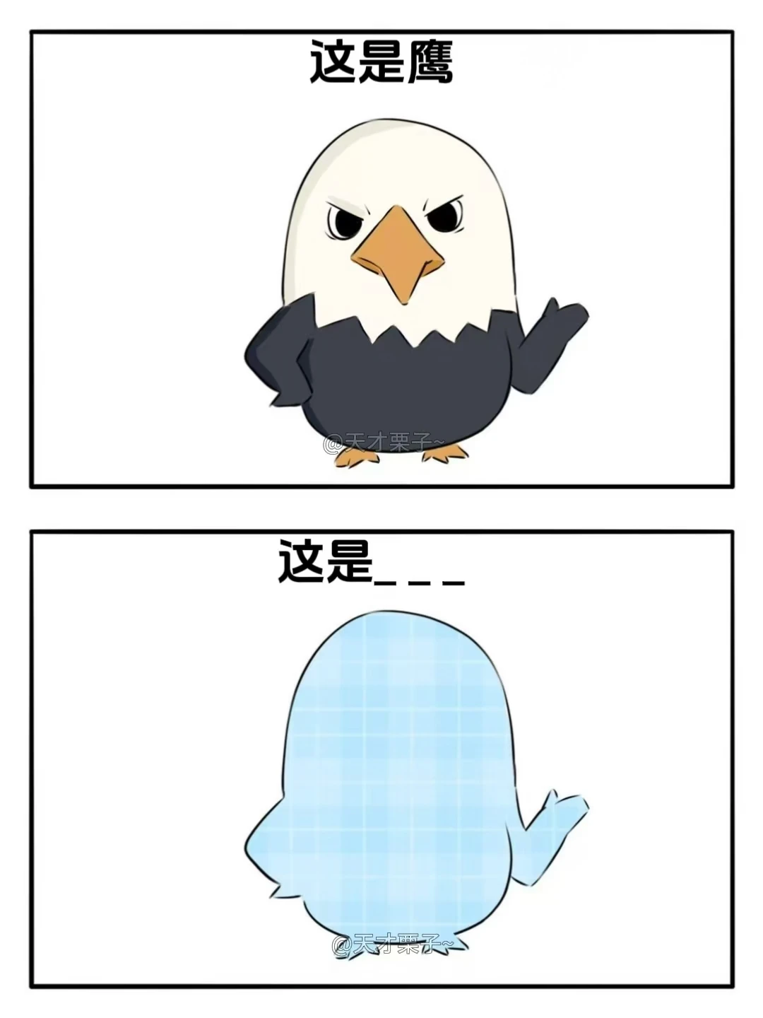 抽象谐音梗（世界杯国家篇）