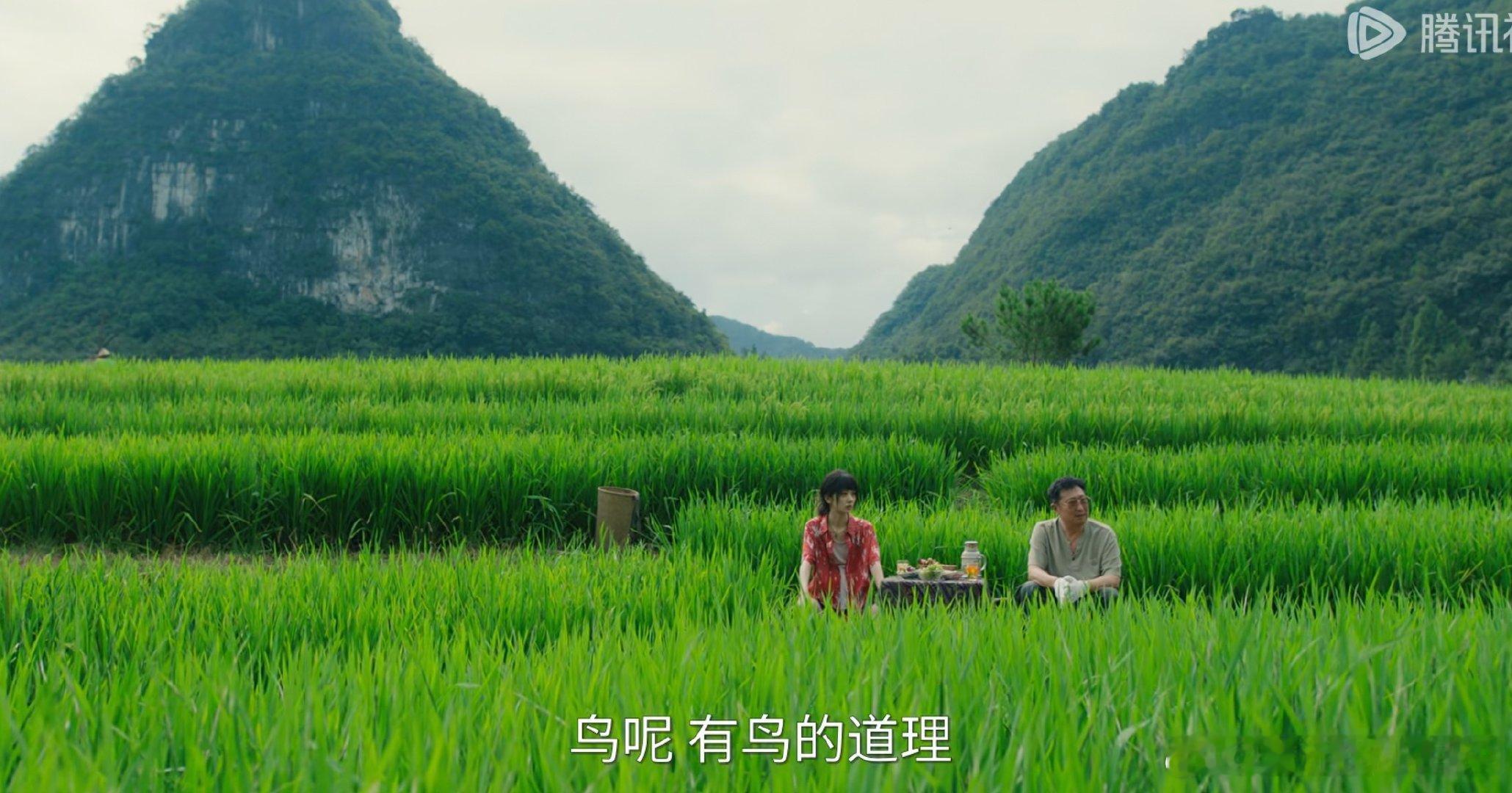 小芳出嫁其实是农偶吧，也是为了出片，毫无逻辑。正常农民下地谁会带个小桌子，上面还