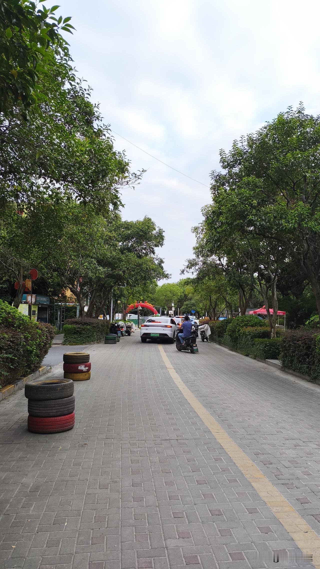 南京今天没了蓝天白云，随着冷空气一路南下，这两天早晚出门的体感完全是两个季节。南
