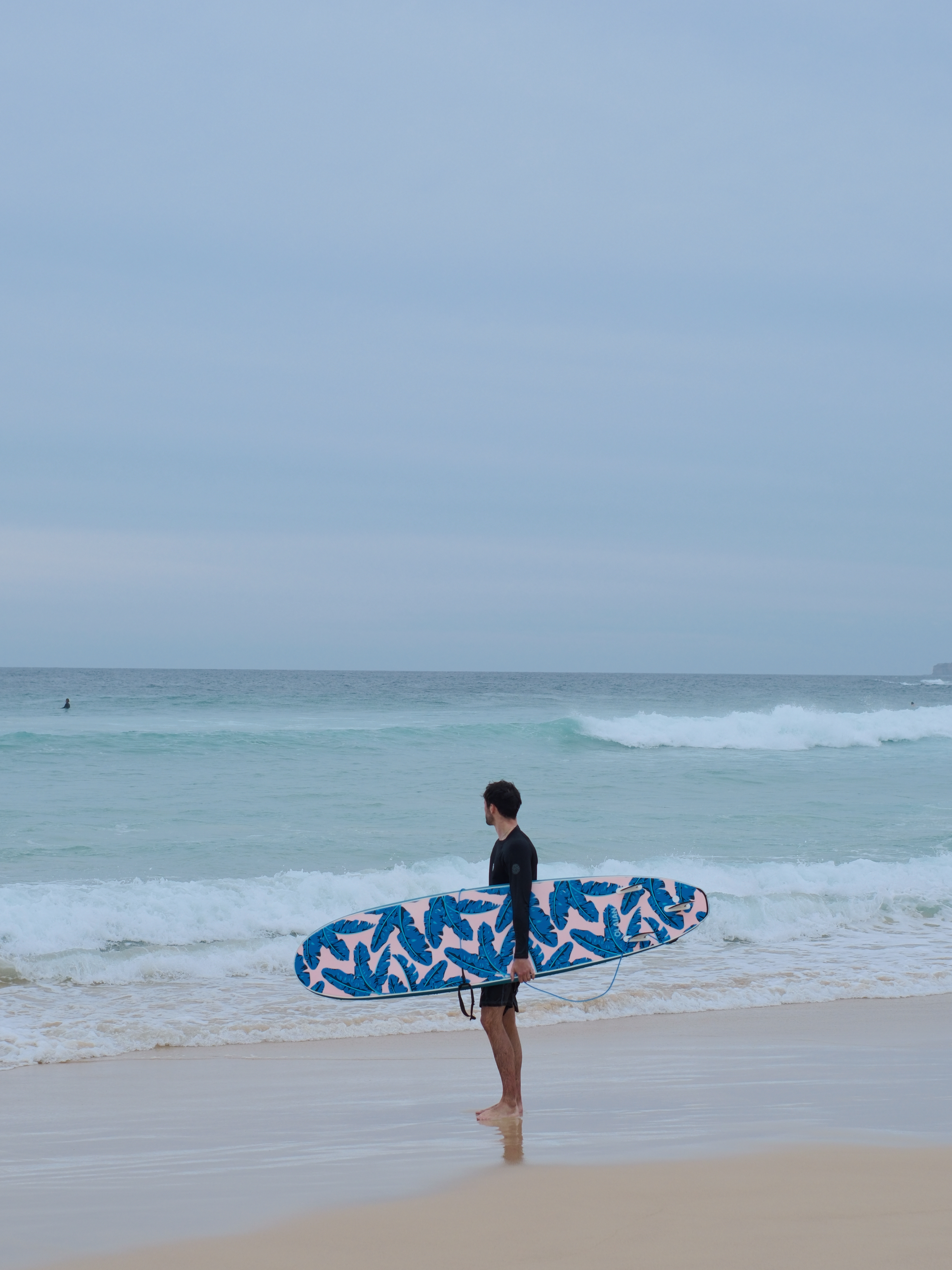 真的很想在悉尼随地大小躺 澳大利亚·悉尼