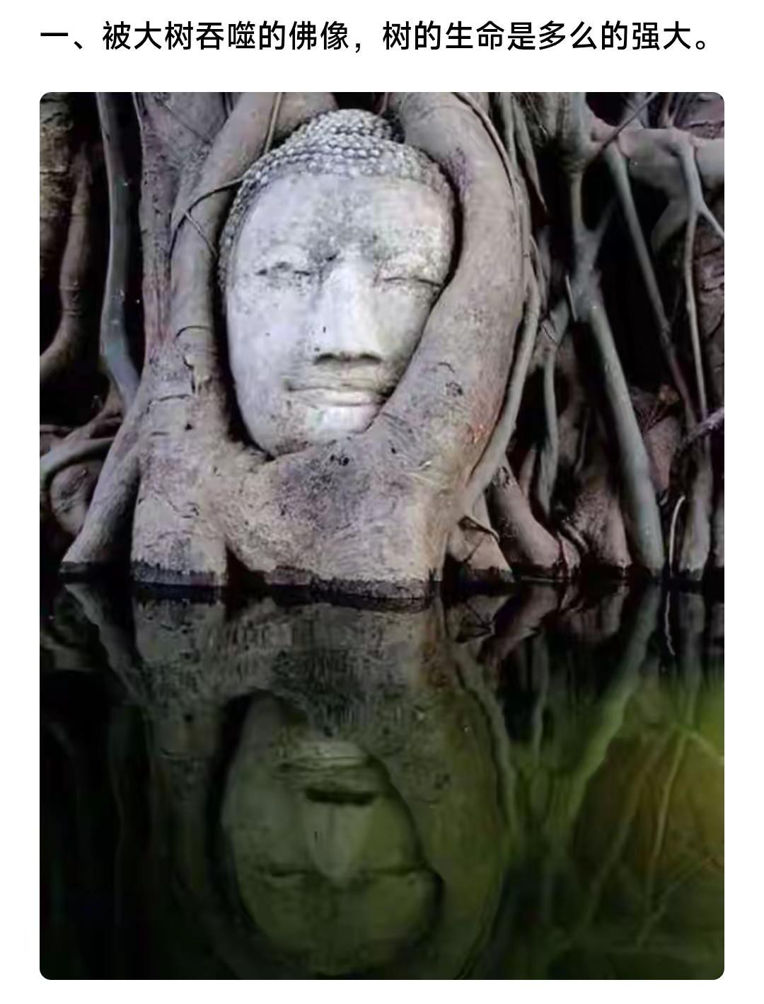 岁月留下的痕迹。上热搜 强烈推荐