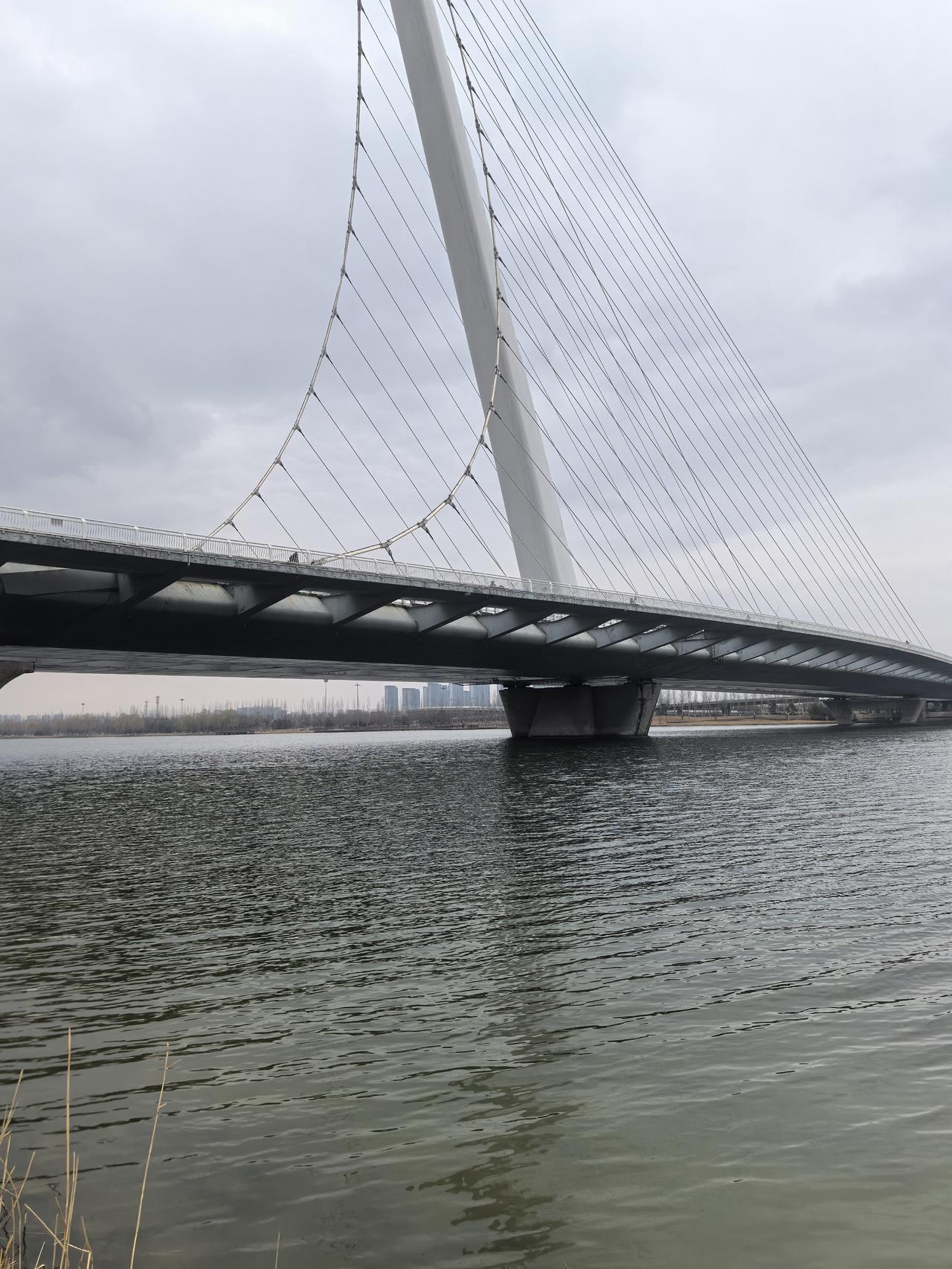 晒晒湖畔风景太原市汾河大桥有好多，迎宾桥一定是别具一格、另有特色的！