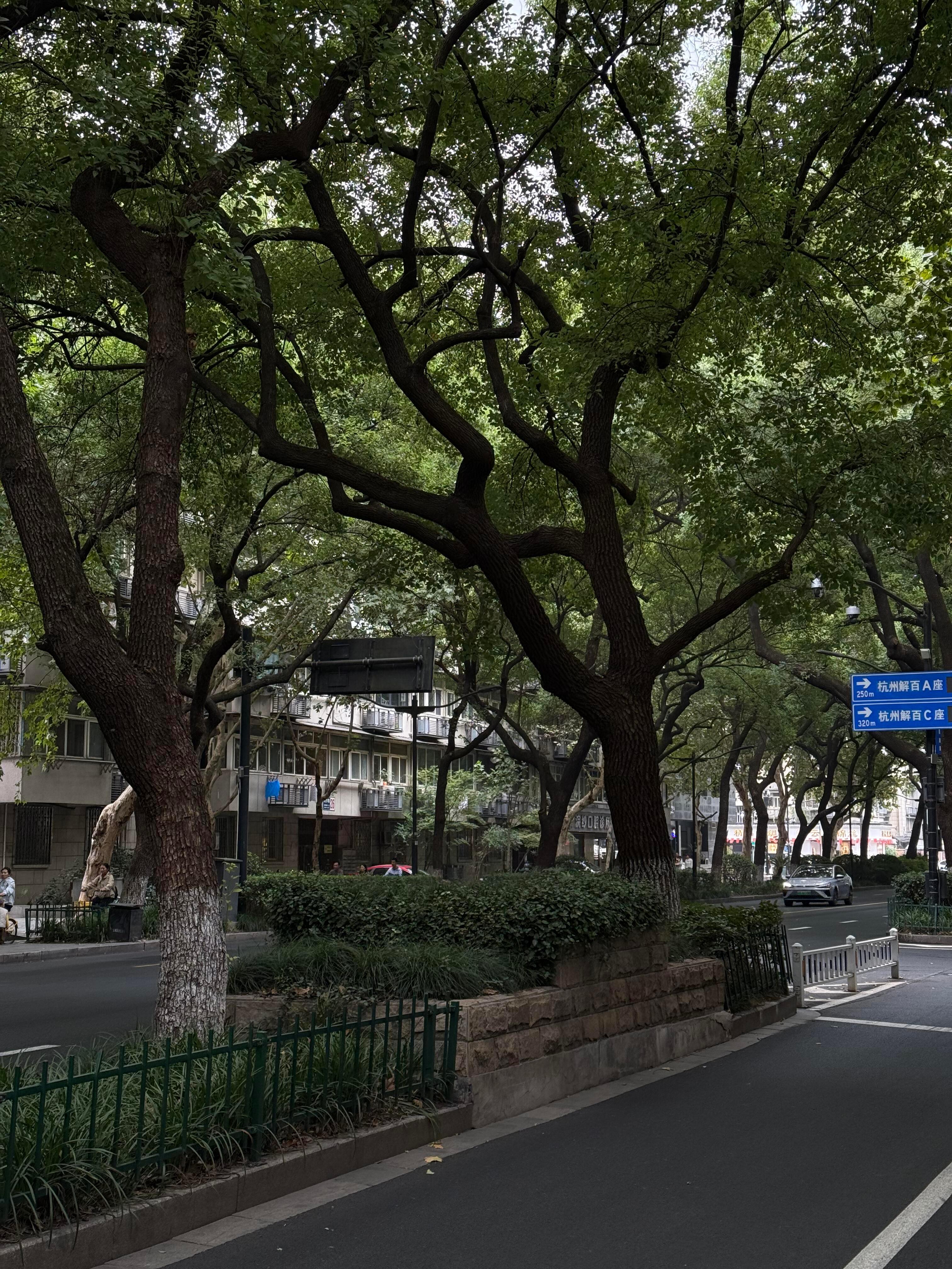 🎶快乐碎片🧩🪀时常记录着自己的幸福 ​​​