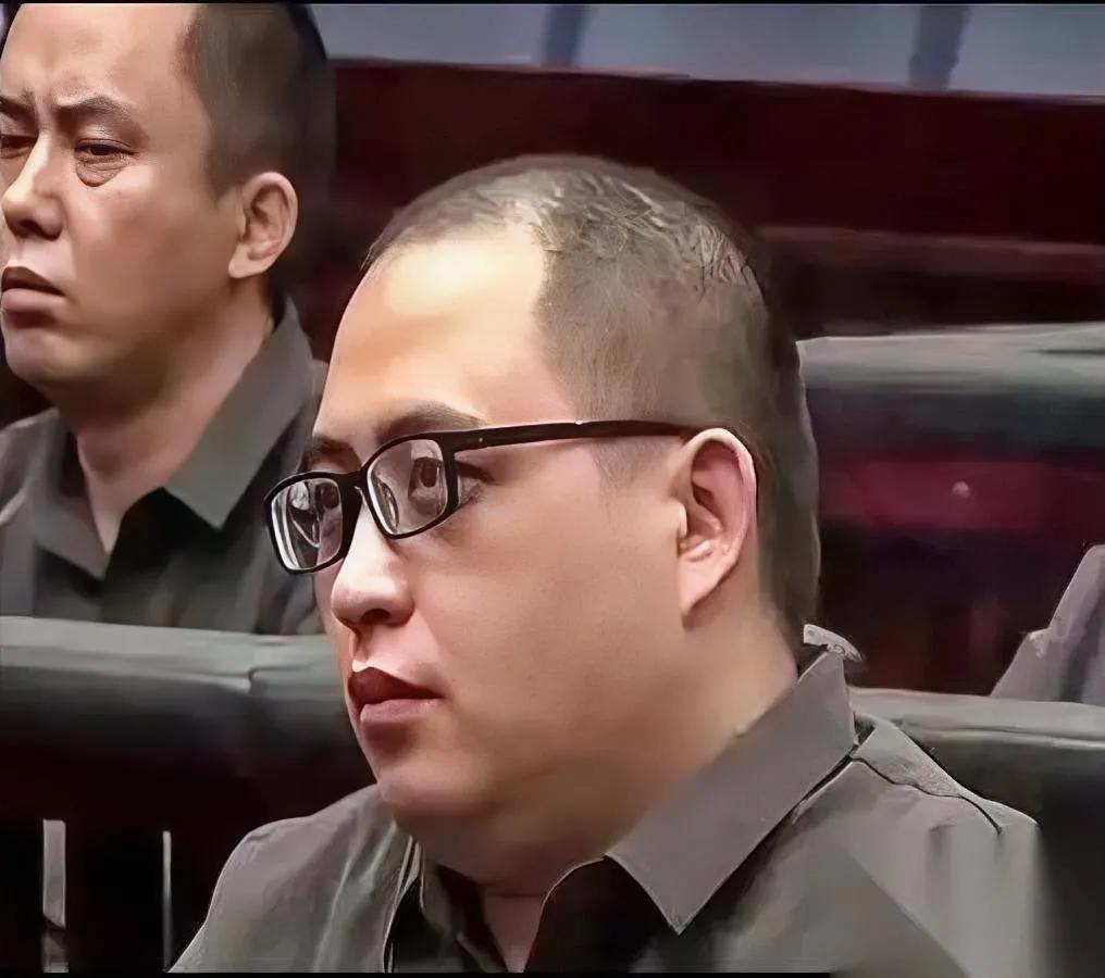 铁笼里的眼神，比枪更冷。

明国平手铐砸栏杆那一下，不是嚣张，是崩溃前的回光返照