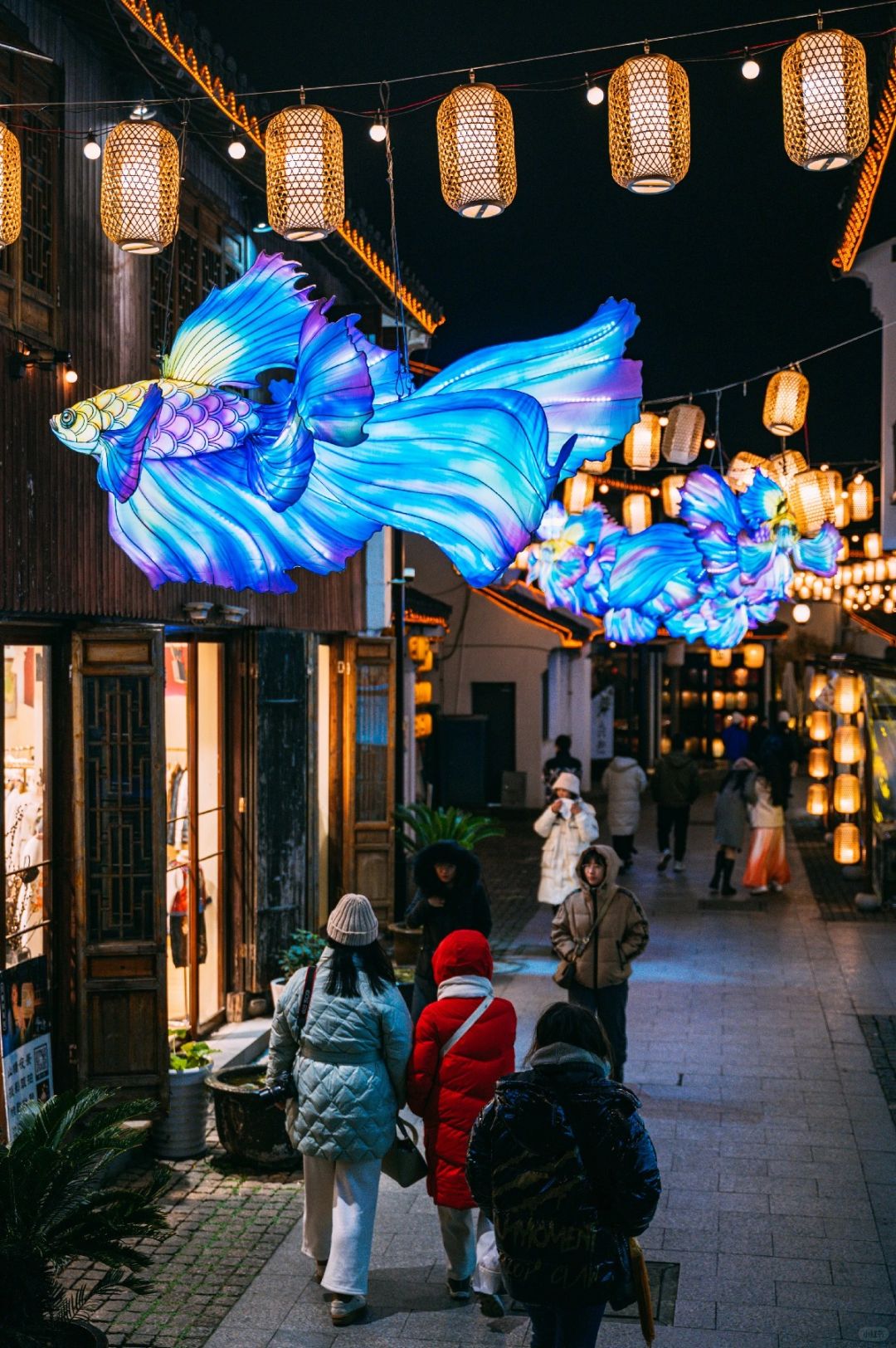 苏州山塘街 夜晚鱼灯亮起也太宫崎骏了