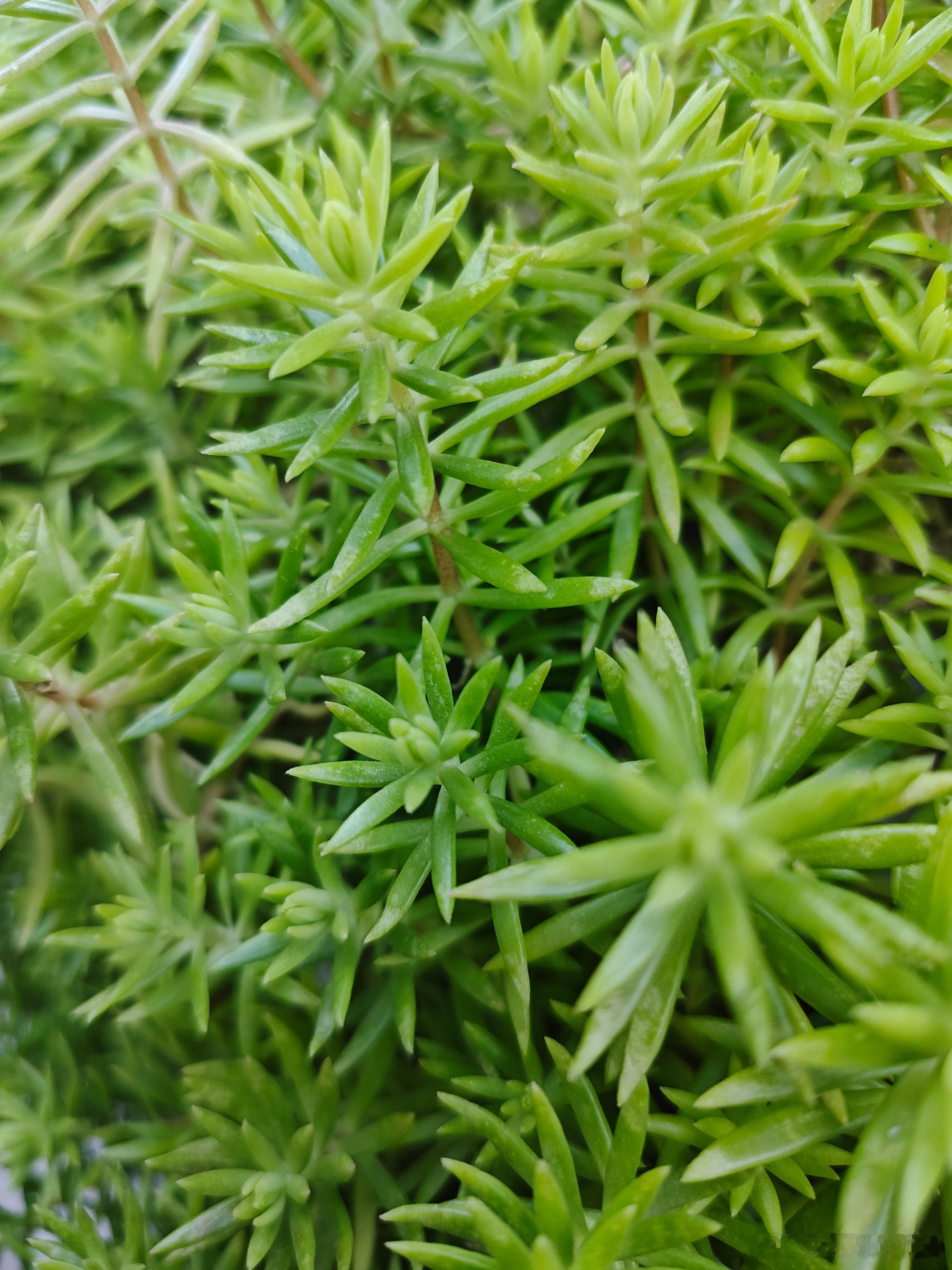 🌱 ​​​