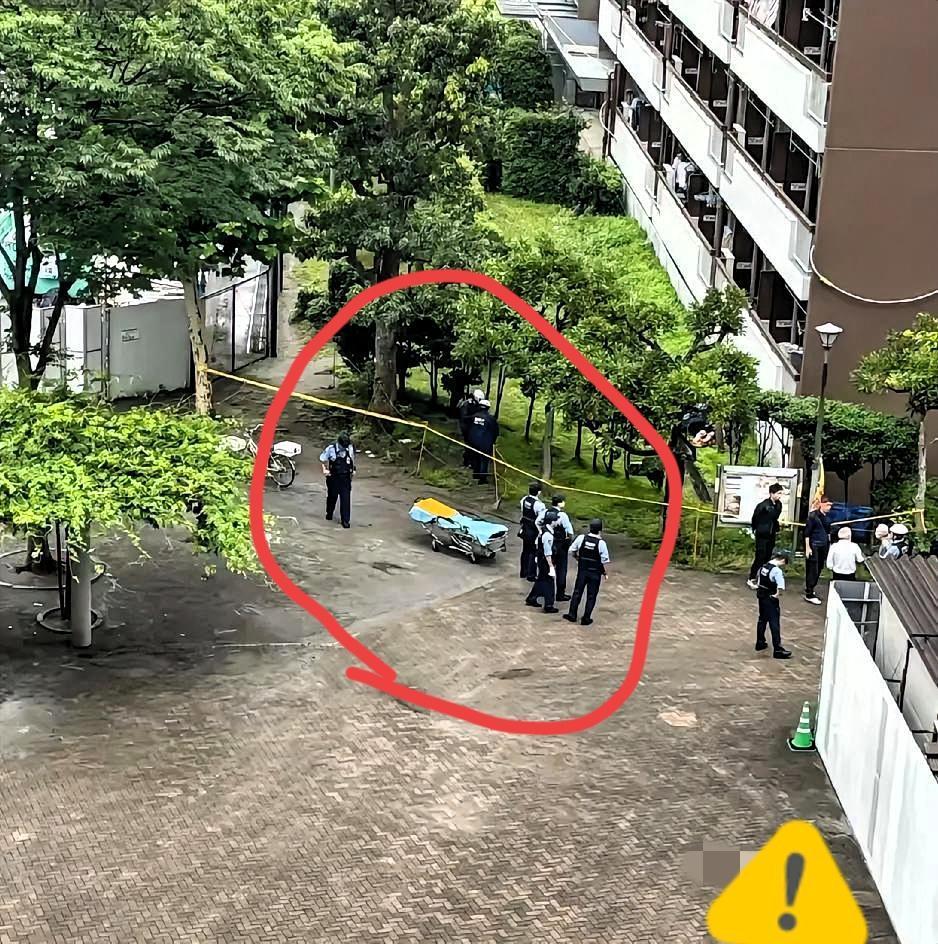 别让成绩压垮孩子的生命之花

昨晚，邻居家16岁的女儿永远地离开了这个世界，不是