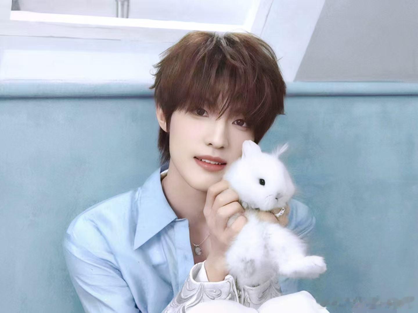 爱上张泽禹就可以猫狗双全 这辈子最正确的事就是喜欢张泽禹，可盐可甜可萌可飒，兼具