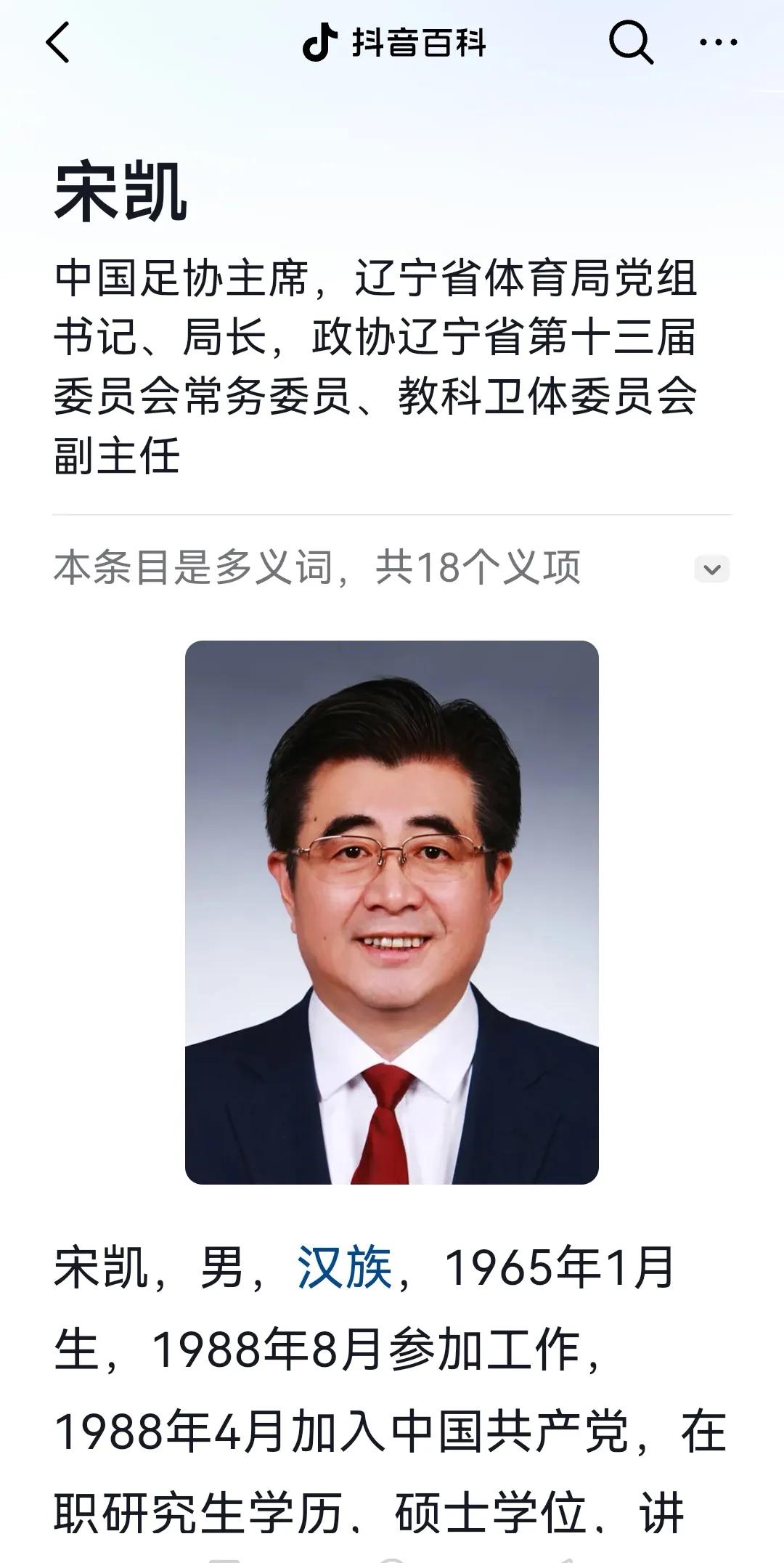 官宣：足代会确定宋凯当选足协主席，孙雯足协副主席！高洪波辞去副主席职务，出任技术