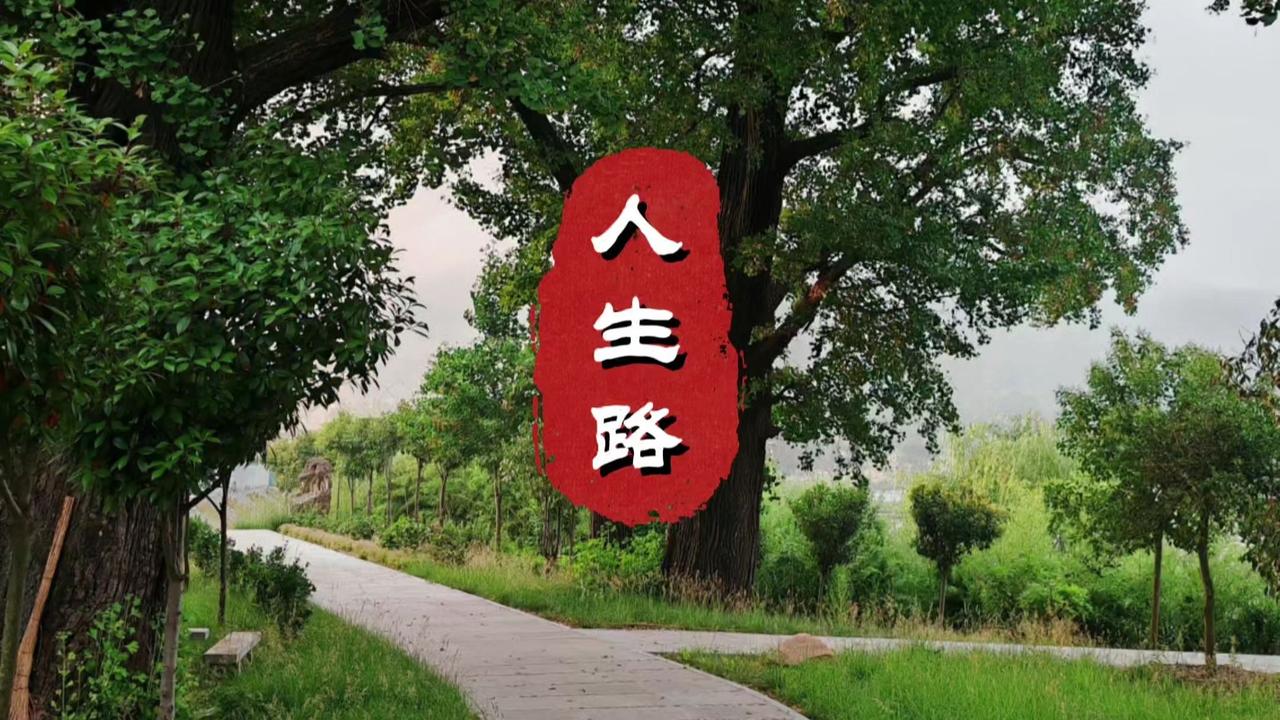 你读过最有哲理的一句话人这一生，不过是边走边悟，边悟边行。