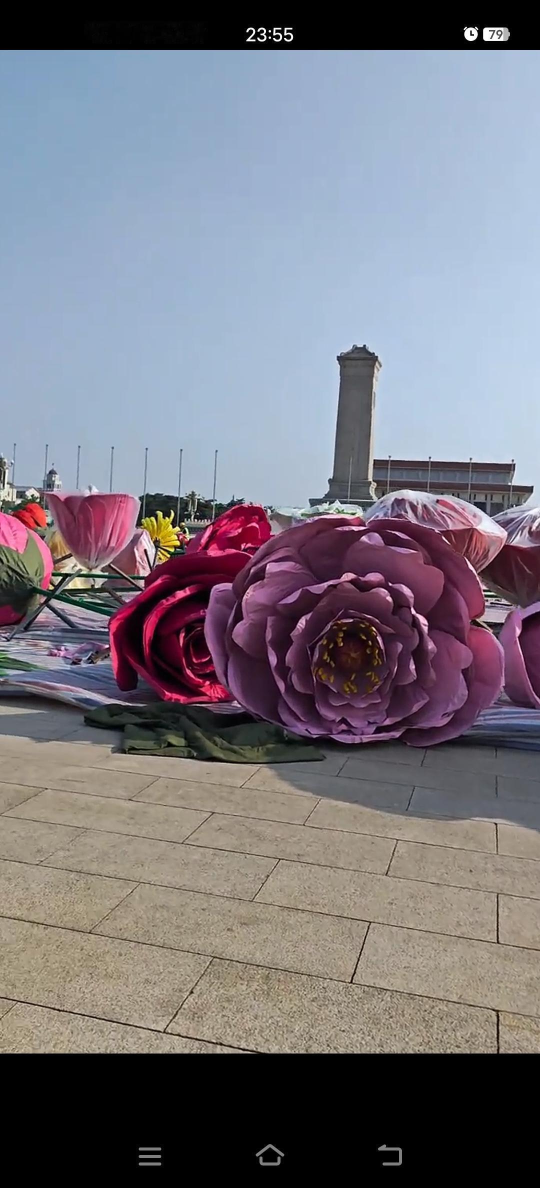 爆！天安门广场“超级花篮”开建，这些亮点别错过
 
家人们，见证历史的时刻来了！
