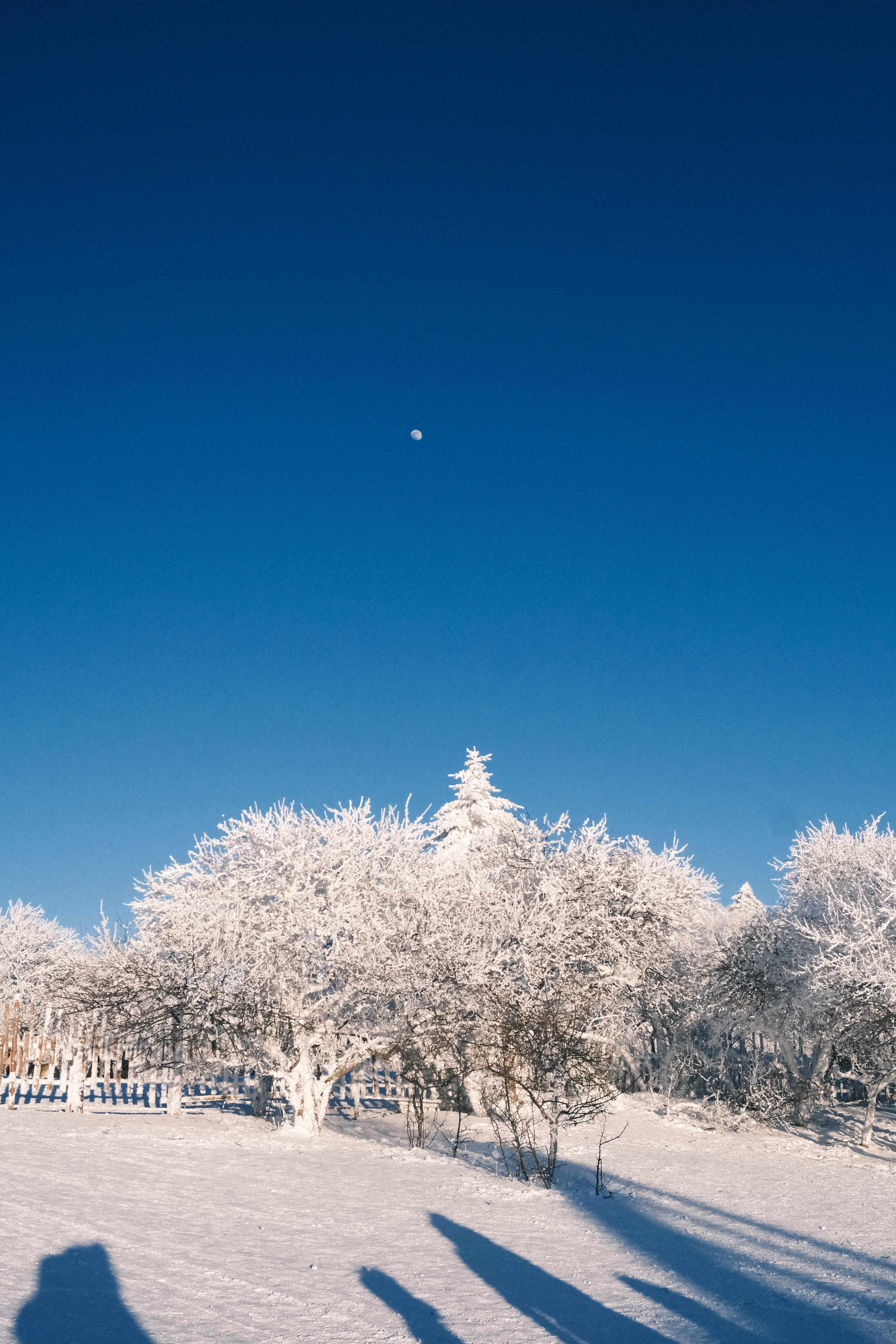 这长白山怎么长得和挪威似的🌝还在穿短袖的南方人 翻看2月的相册想过冬了🥹 