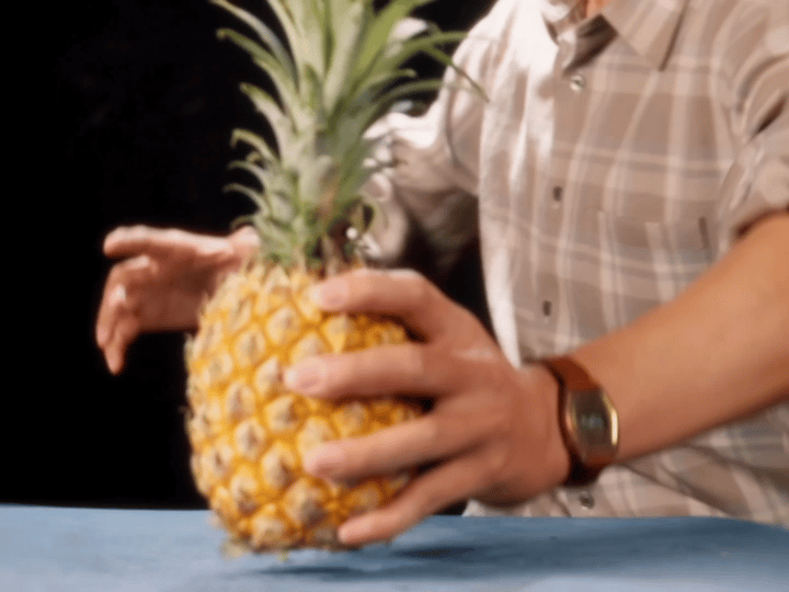 徐峥任素汐新剧荒诞老抽风徐峥任素汐新剧是带刺喜剧吧 徐峥任素汐新剧《糖心菠萝》太