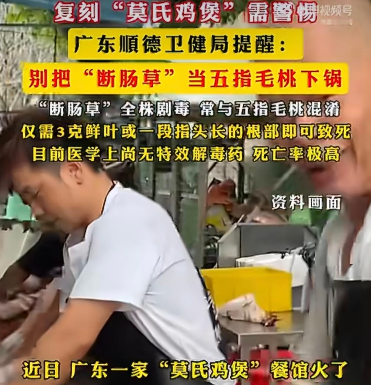 复刻莫氏鸡煲需警惕跟风在家复刻爆火的莫氏鸡煲，看似复刻美味，实则暗藏诸多风险。不