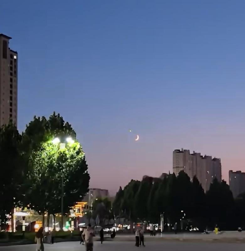 随手拍