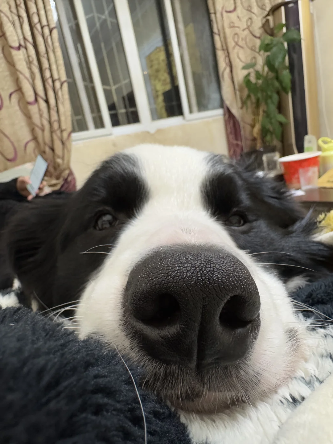 怎么还不放假！