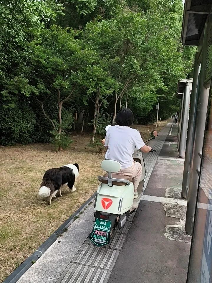 我认为更幸福我觉得现在的孩子更幸福。从物质层面看，如今孩子玩具论箱算，衣服比大人