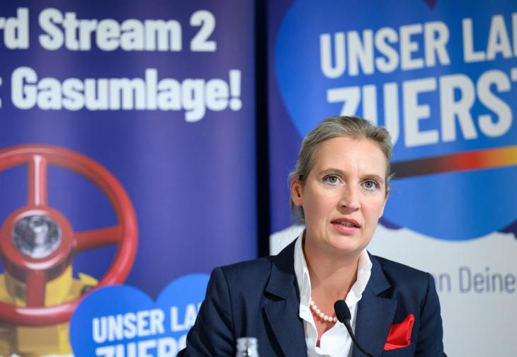 魏德尔一语惊醒欧洲：俄罗斯才是欧洲真正的自己人

最近德国议会那场辩论，算是把欧