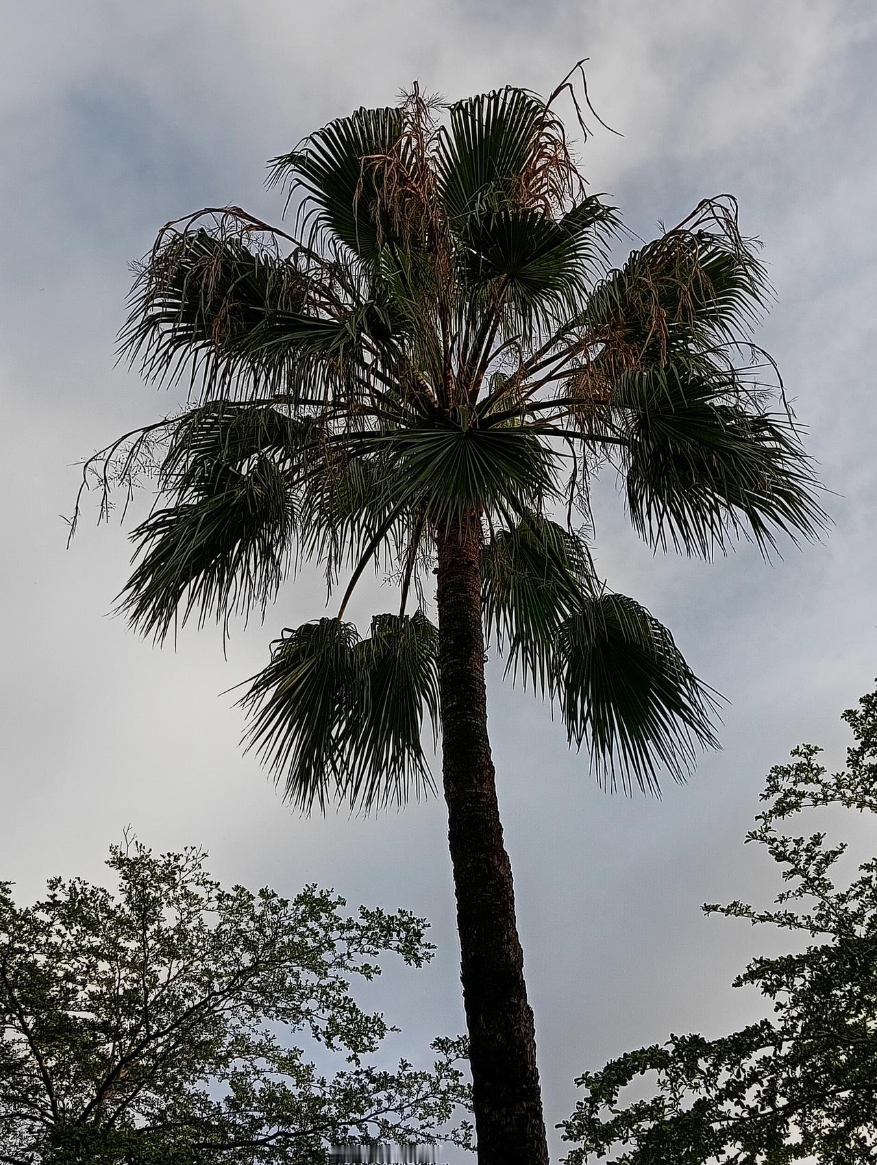 大家好，我是七姐，你没有穷过，你就不知道穷人的苦，有很多网友说1万多块钱不是我一