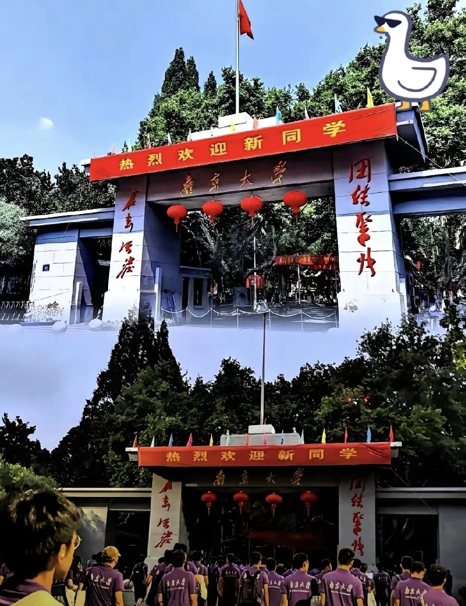 南大这次真的杀疯了！
直接官宣退出国际排名，还取消留学生特殊待遇，这魄力，谁看了