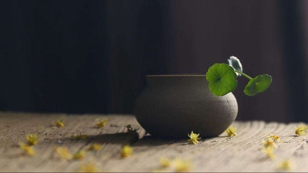 人认识别人容易，认识自己很难，人总是认为自己是完美无缺的，眼睛总是看着别人的缺点