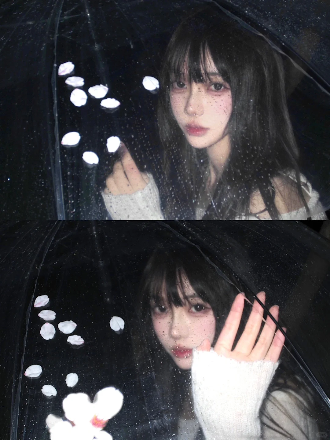 下雨天和樱花的适配度