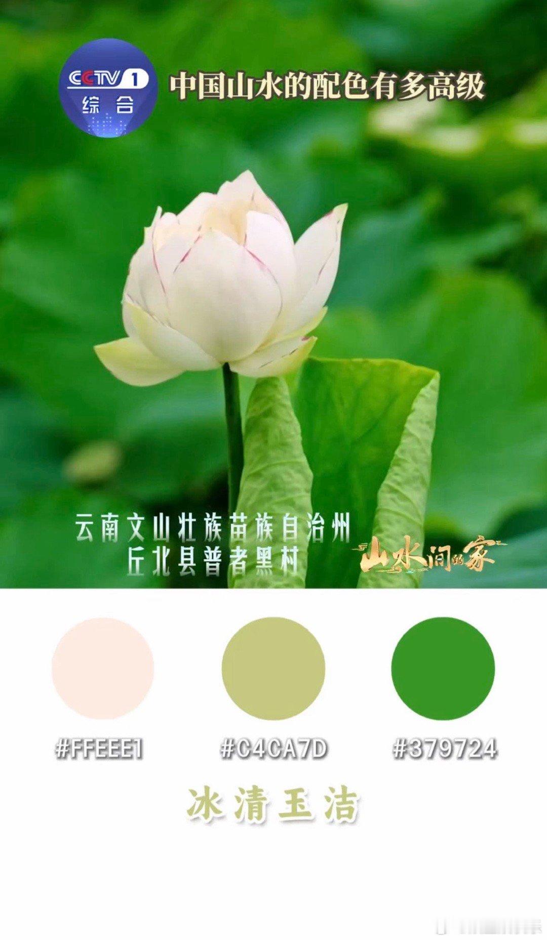 这里是中国 傍晚在西安城墙下散步，灯笼亮起来映着青砖，有人在唱秦腔，小朋友追着卖