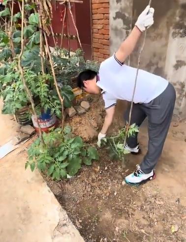 河南家门口种菜这个事就是告诉所有的底层人，一定要拼命的去离开这种底层社会。一根垄