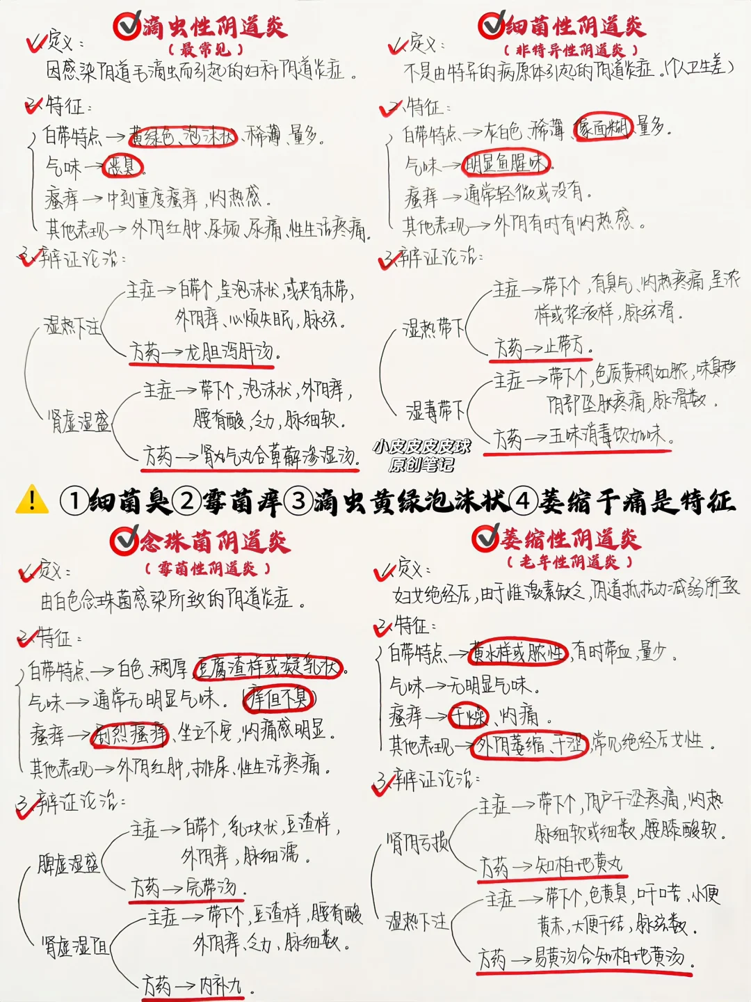 从0到1学懂100种常见病②|阴道炎