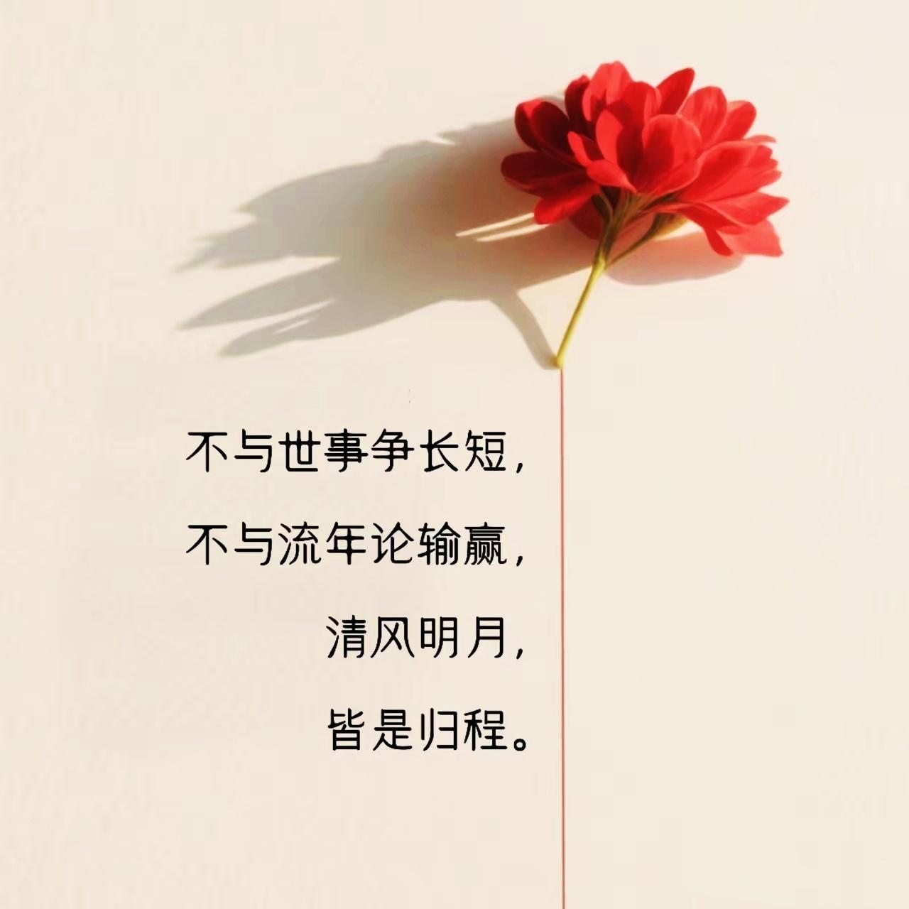 人过中年，都该读一读这10句“古语”

    这些古人名句内涵深刻，值得仔细品