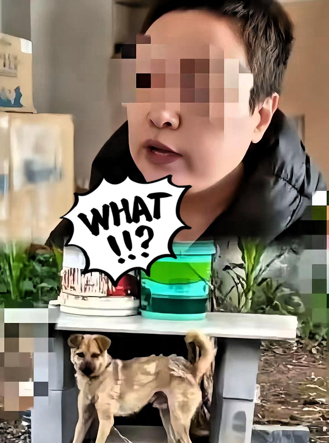 长治狗咬人案炸锅！自家人误杀亲哥？三大疑点直指真相被藏！
 
长治狗咬人命案彻底