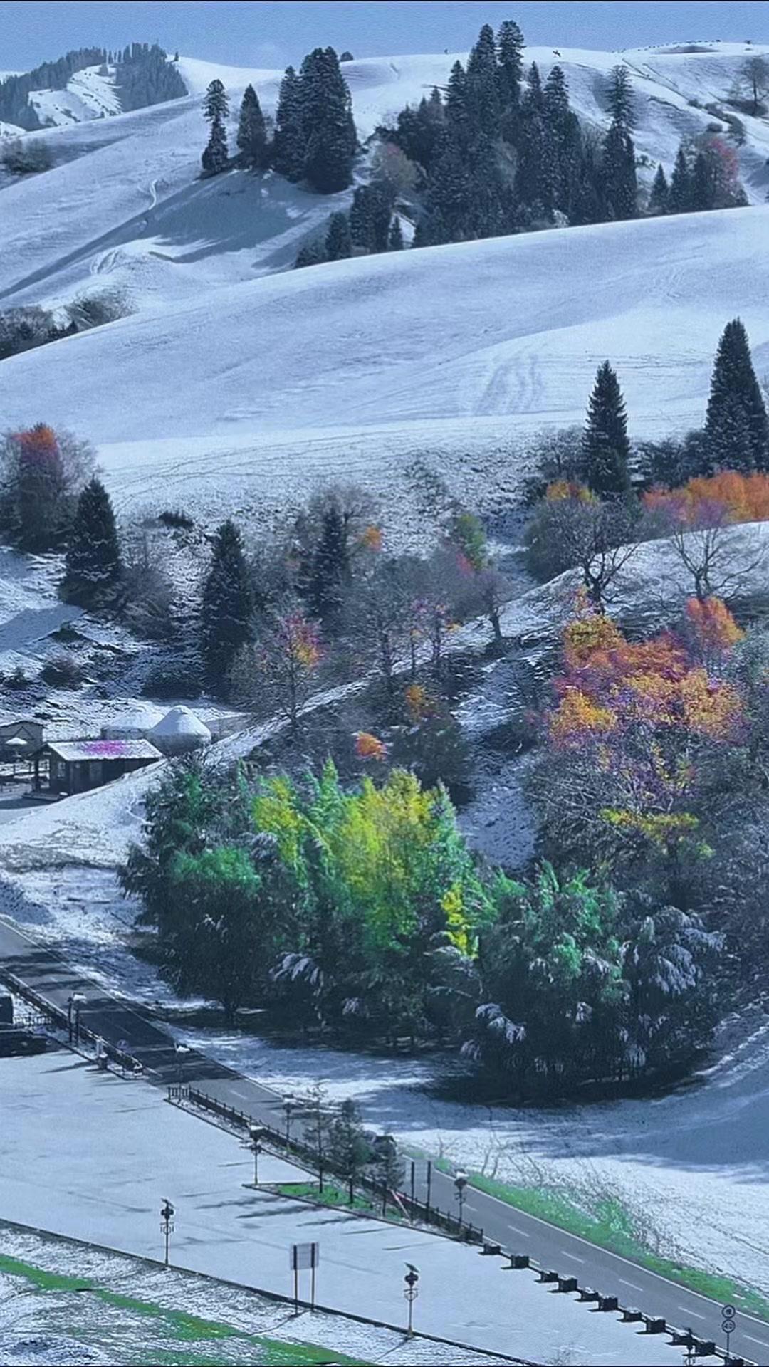 ❄️被初雪吻过的那拉提草原太绝了
一半是柔暖的秋黄，一半是清透的雪白
撞出独属于