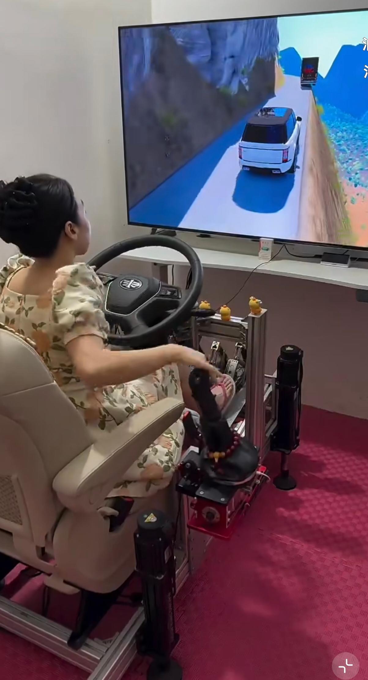 你别说，虽然是游戏至少解决了道路拥堵的问题。除了电视，某宝上这套装备得五位数。闪