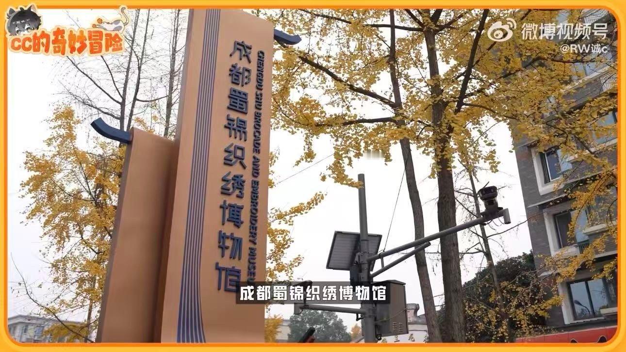 诚c非遗织造体验 跟着诚c逛非遗织造现场，才发现传统工艺里藏着这么多不为人知的门