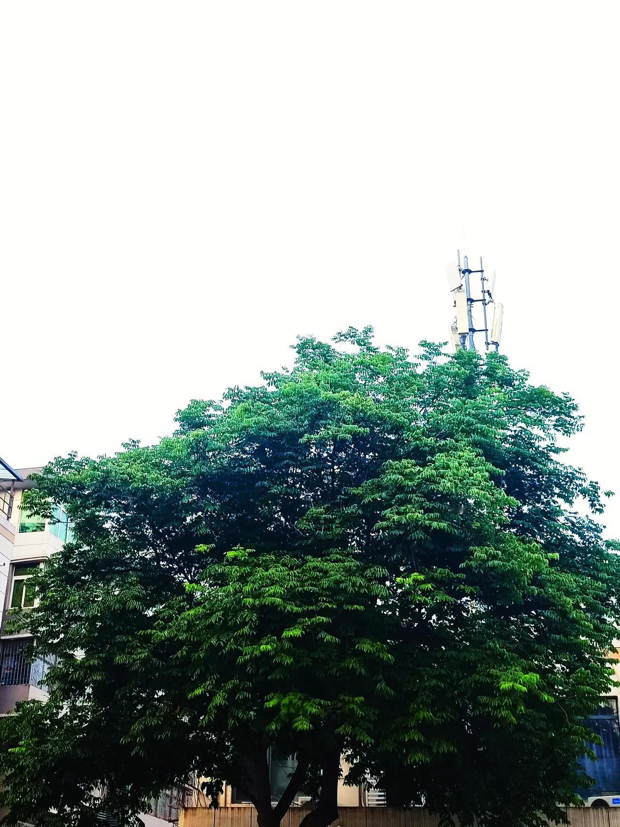 阴雨天的城市 下雨天的城市故事 公交站随拍 冷漠是城市的标签之一 天气就像心情一