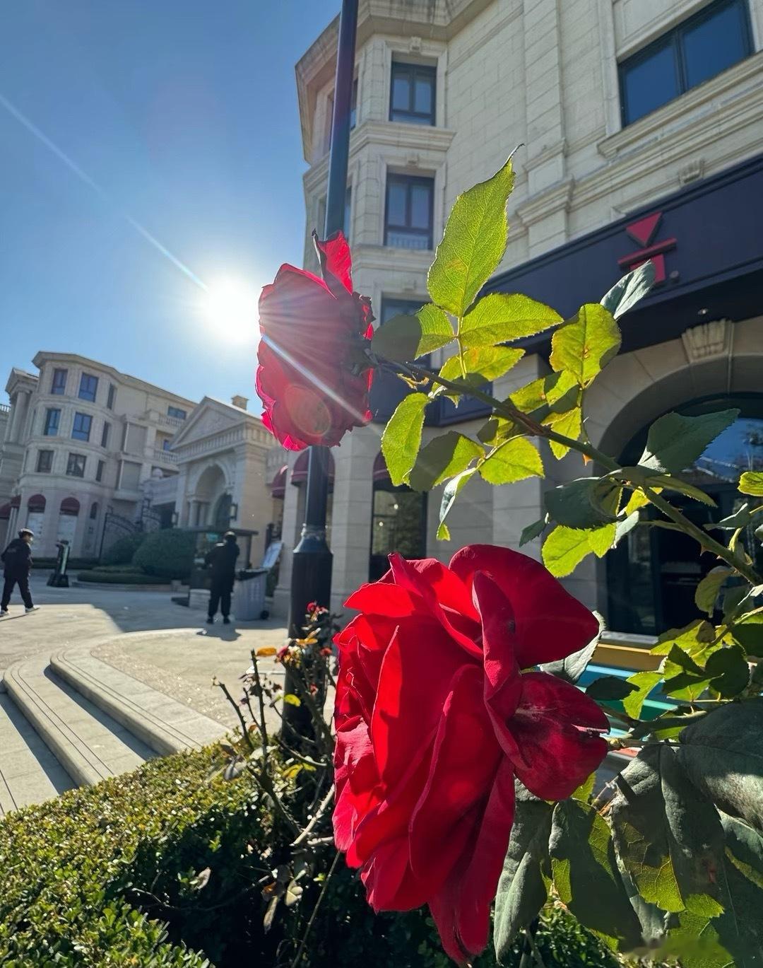 微博年度待改编ip评选pick你心中的改编潜力王 一定要爱着点什么黄昏的时候，我