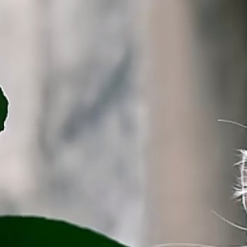 阳光信用 阳光信用每日一善 让我们善待生命中的缺点，以宽容之心看自己，以豁达之心