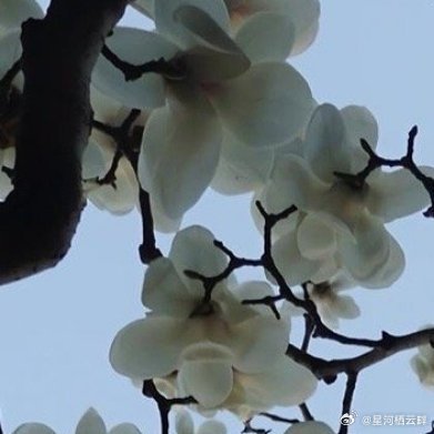 阳光信用 昨天再好，也走不回去，明天再难，也要抬脚继续，不管你昨天有多优秀，代表