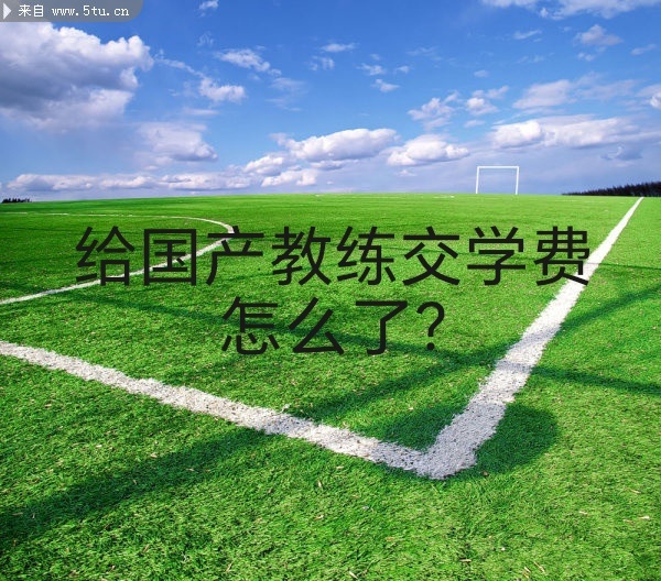 邵佳一将出任国足主帅反对现阶段用国产教练担任国足主帅国足102天!旗帜鲜明地反对