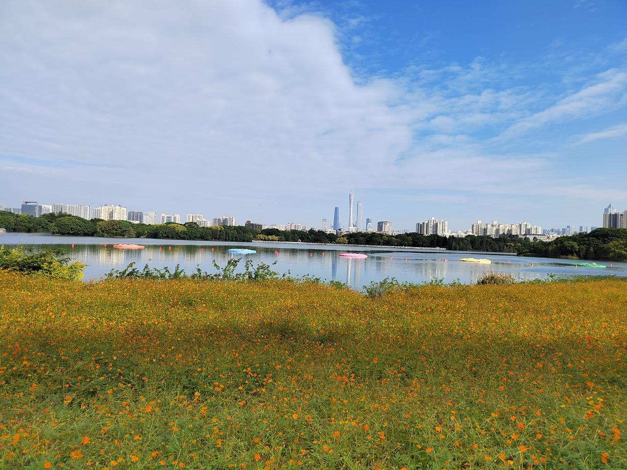 抱着“抄底捡便宜”的心态，股民王生拿出全部积蓄100万元，以50元/股的价格，买