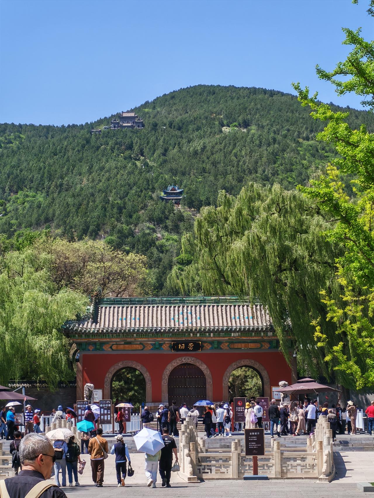 太原晋祠的价值在于古建瑰宝，古木参天是锦上添花。