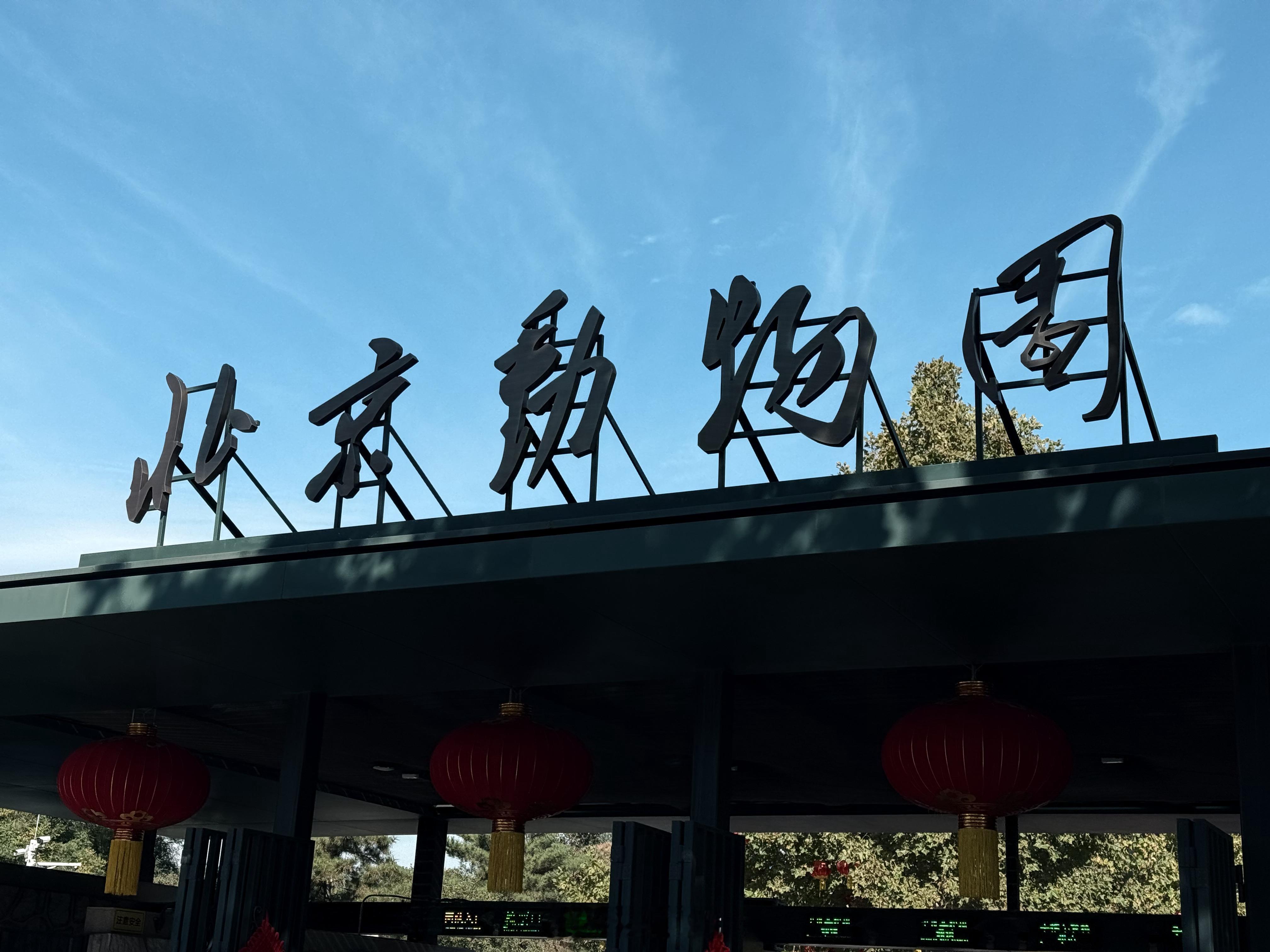 动物园……看猩猩 ​​​