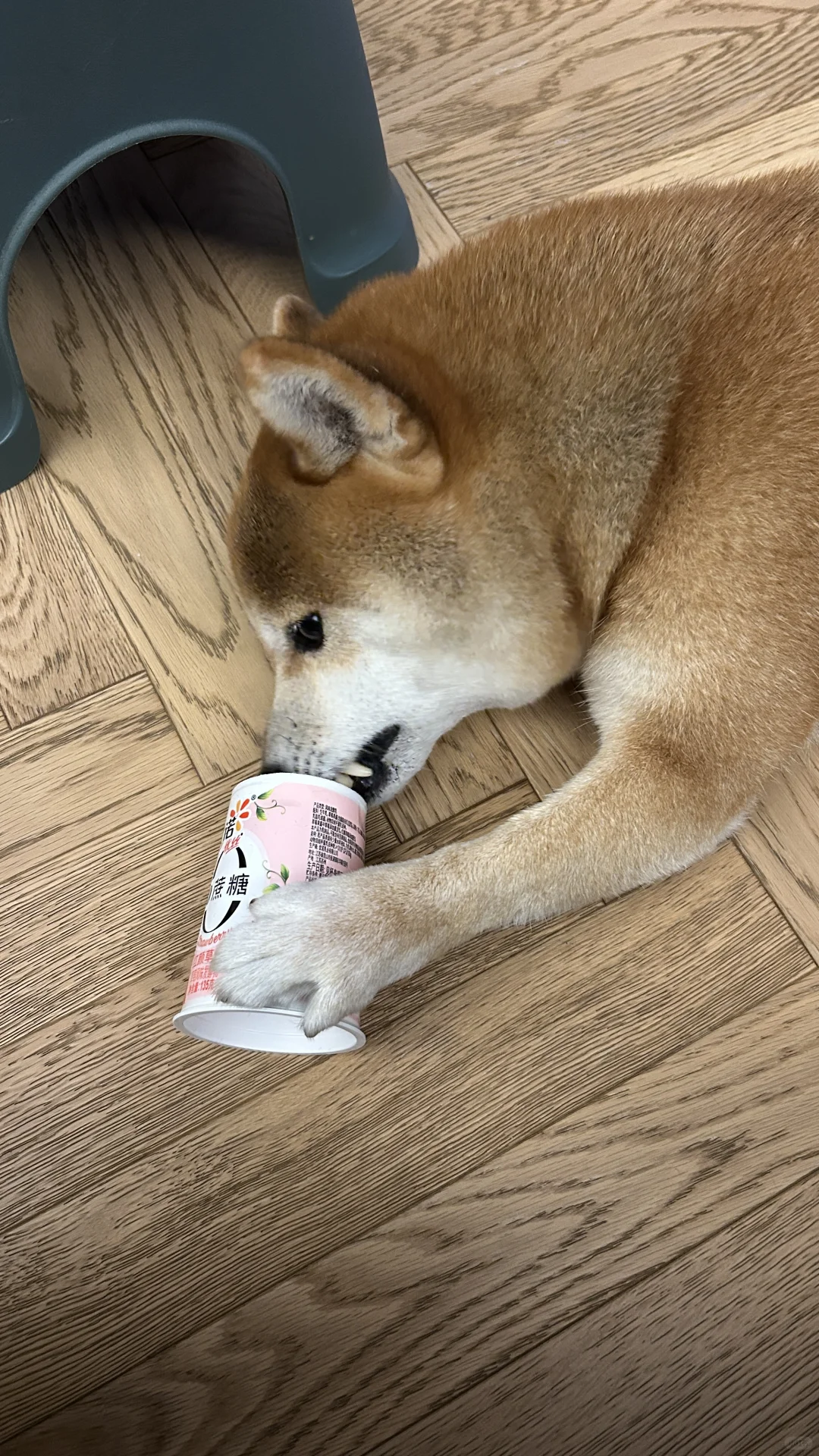 舔酸奶姿势很到位