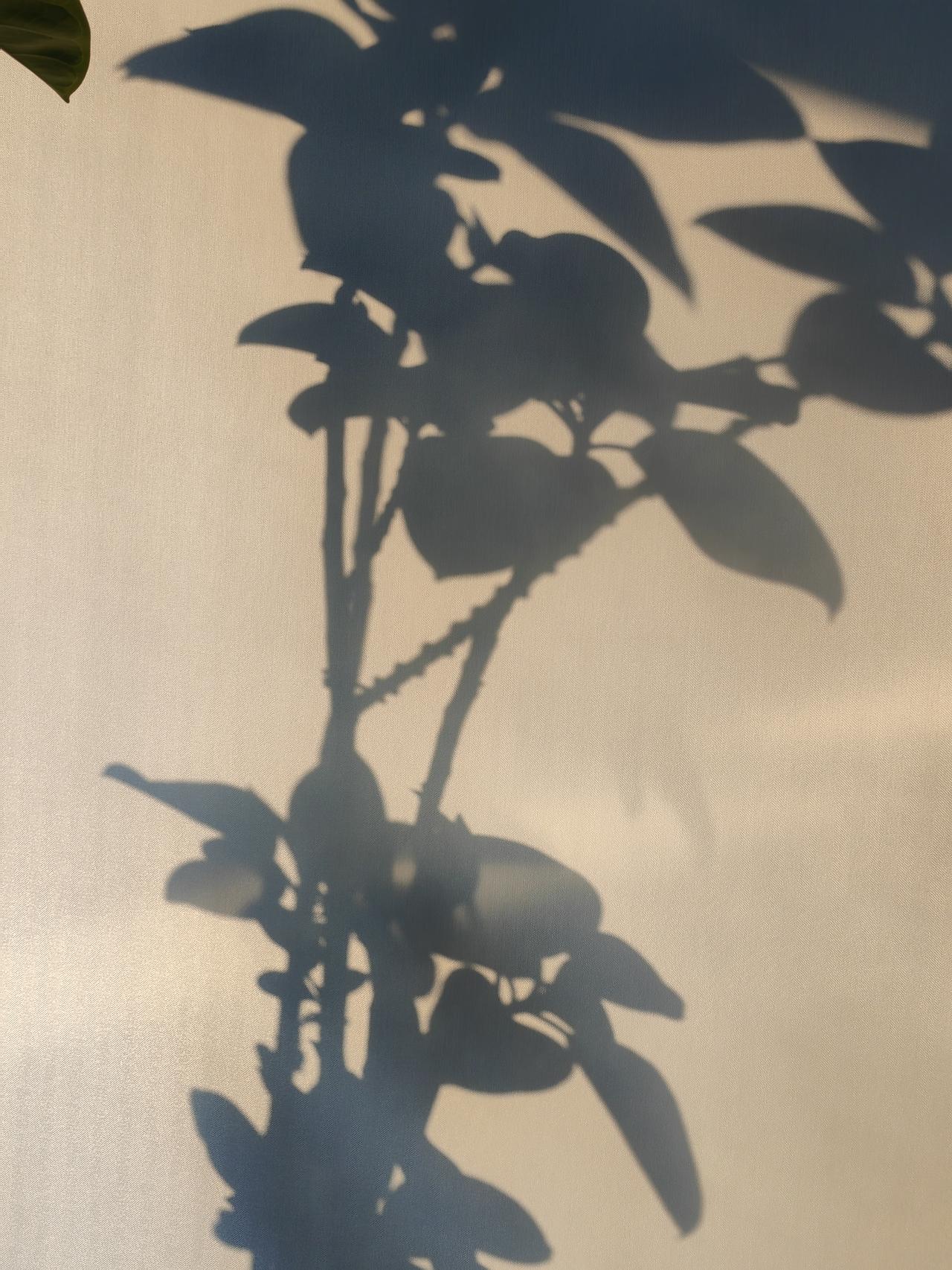 坪04井区实践“和谐文化”，准确的说，是“提高员工工作生活条件，促进员工全面发展