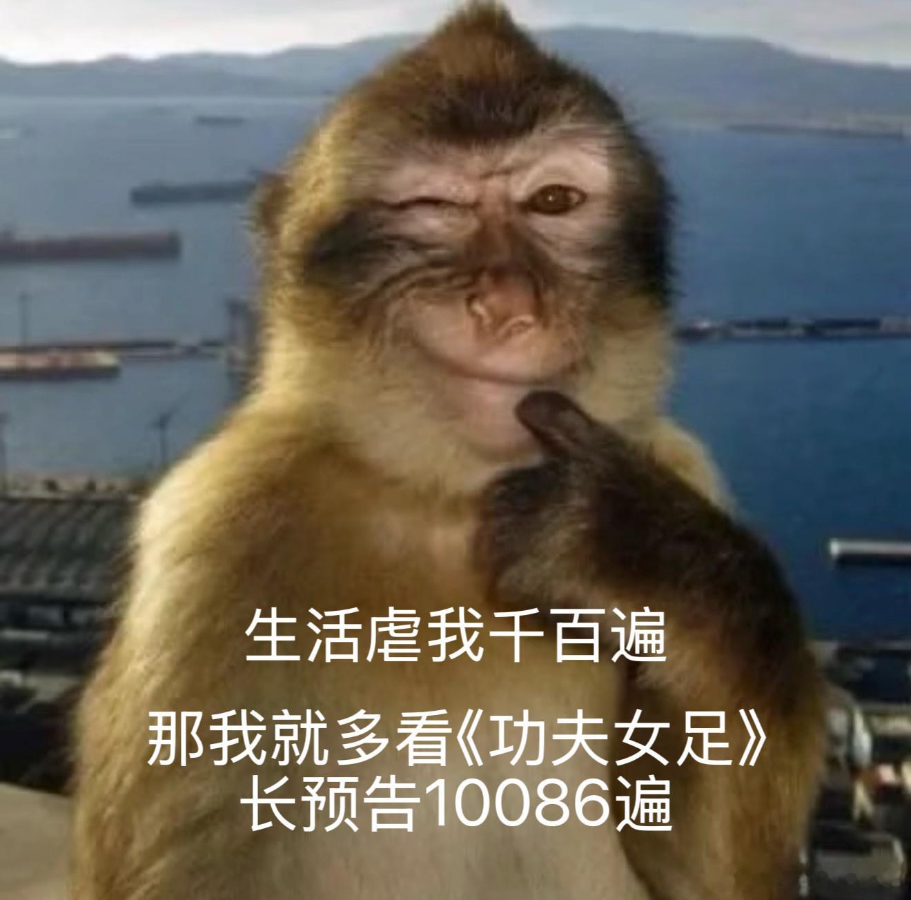 电影功夫女足首支长预告 周星驰新作《功夫女足》放出完整版预告。搞笑桥段与竞技燃点