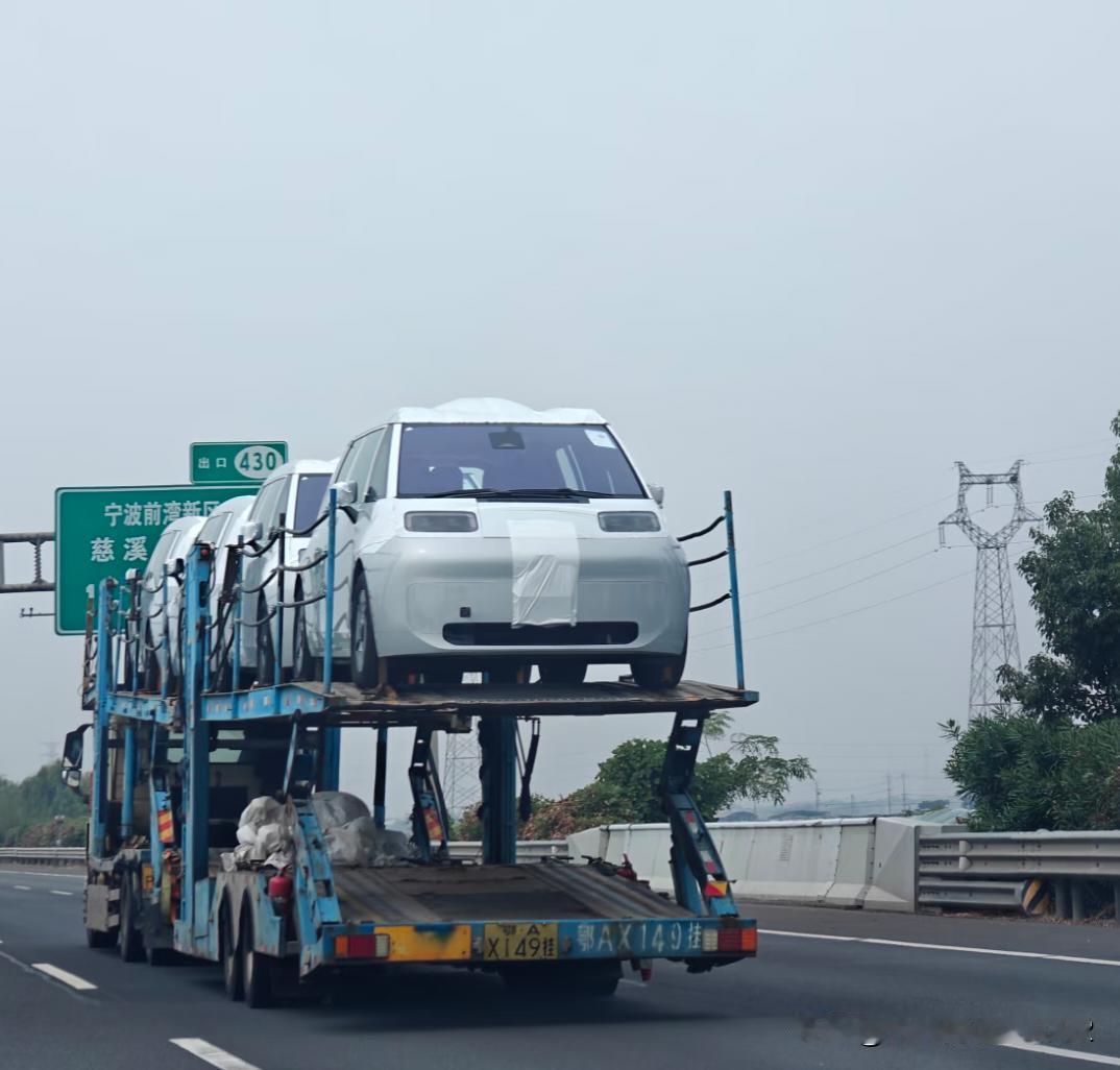 这是什么新车型？没有见过，拉了几个板车了