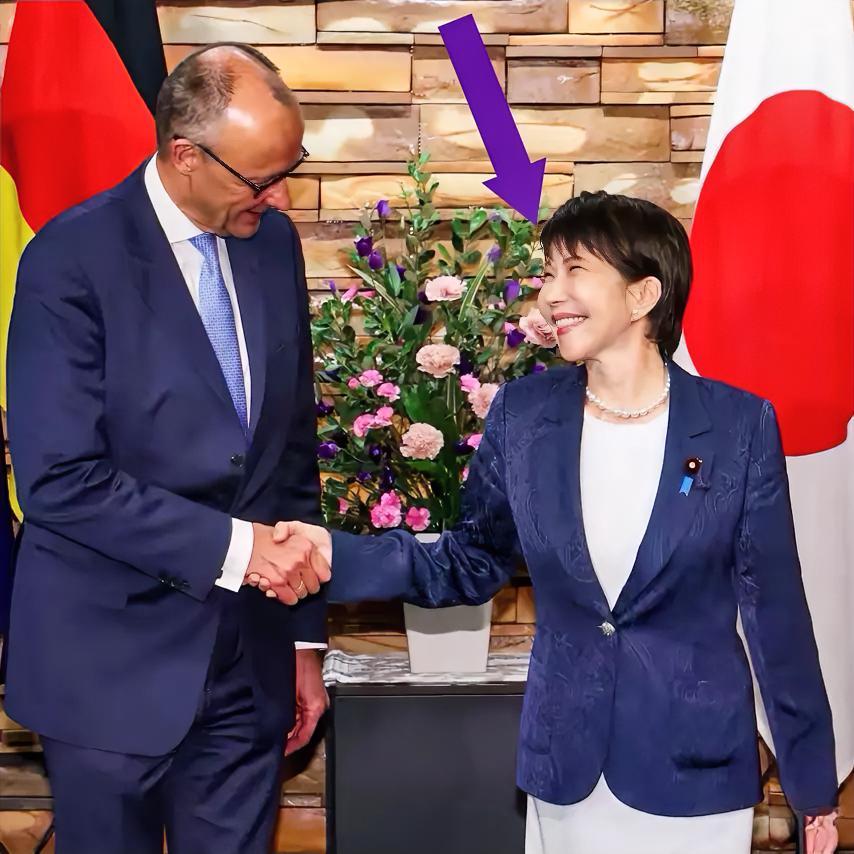 啧啧啧，好一副郎有情妾有意的样子

德国与日本，同为二战的轴心国、战败国；默茨与