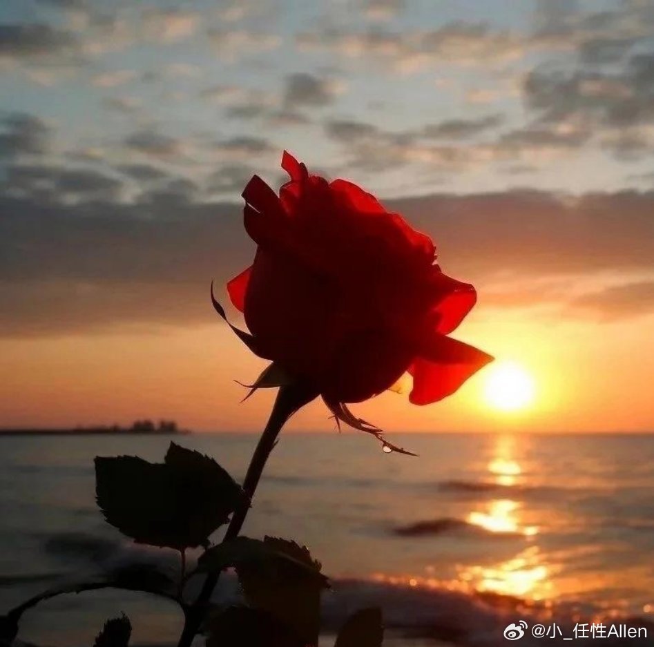阳光信用如果缘分够的话我也想陪你走到最后。如果缘分太浅，我陪你走一段路也是好的。