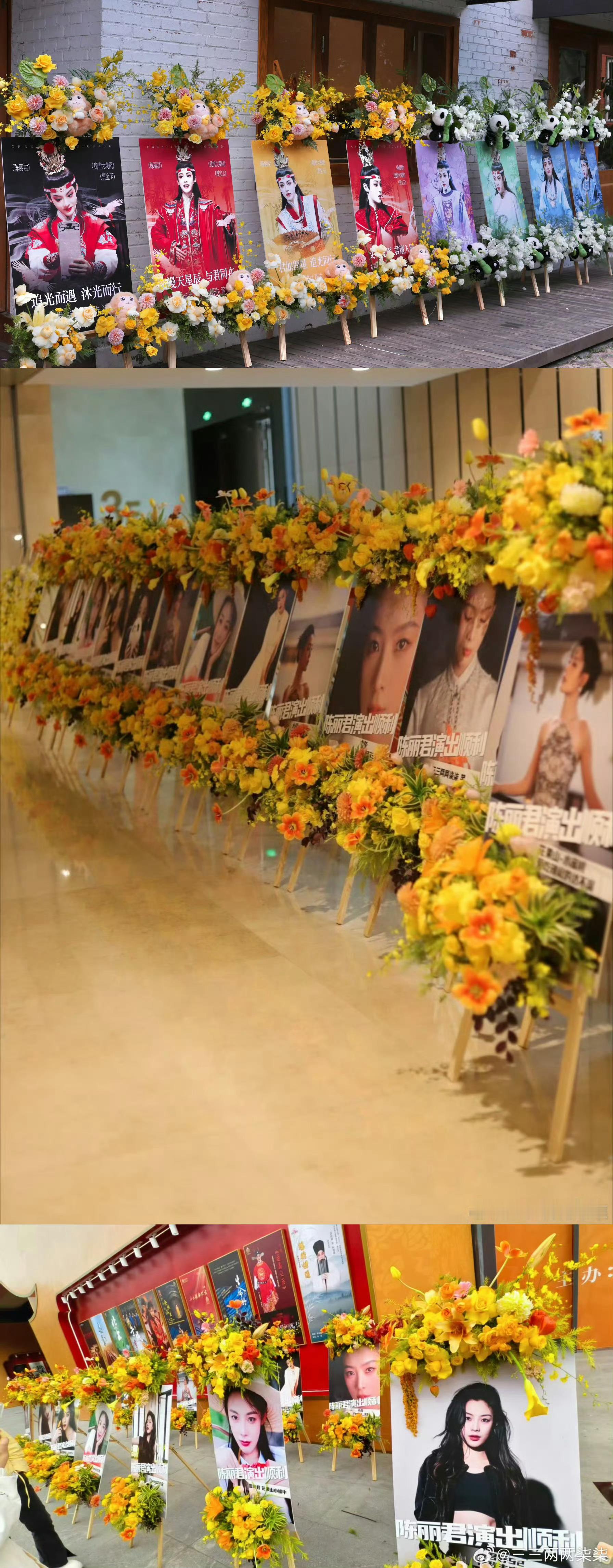 陈丽君《我的大观园》文华场演应援，8米*3米全鲜花花墙➕花牌➕花篮➕999朵野兽